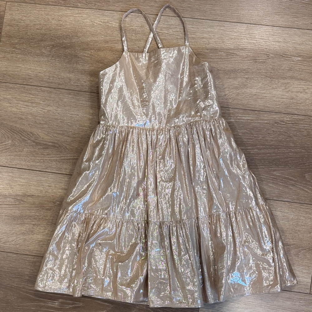 GAP Shimmery Champagne Iridescent Girls Dress